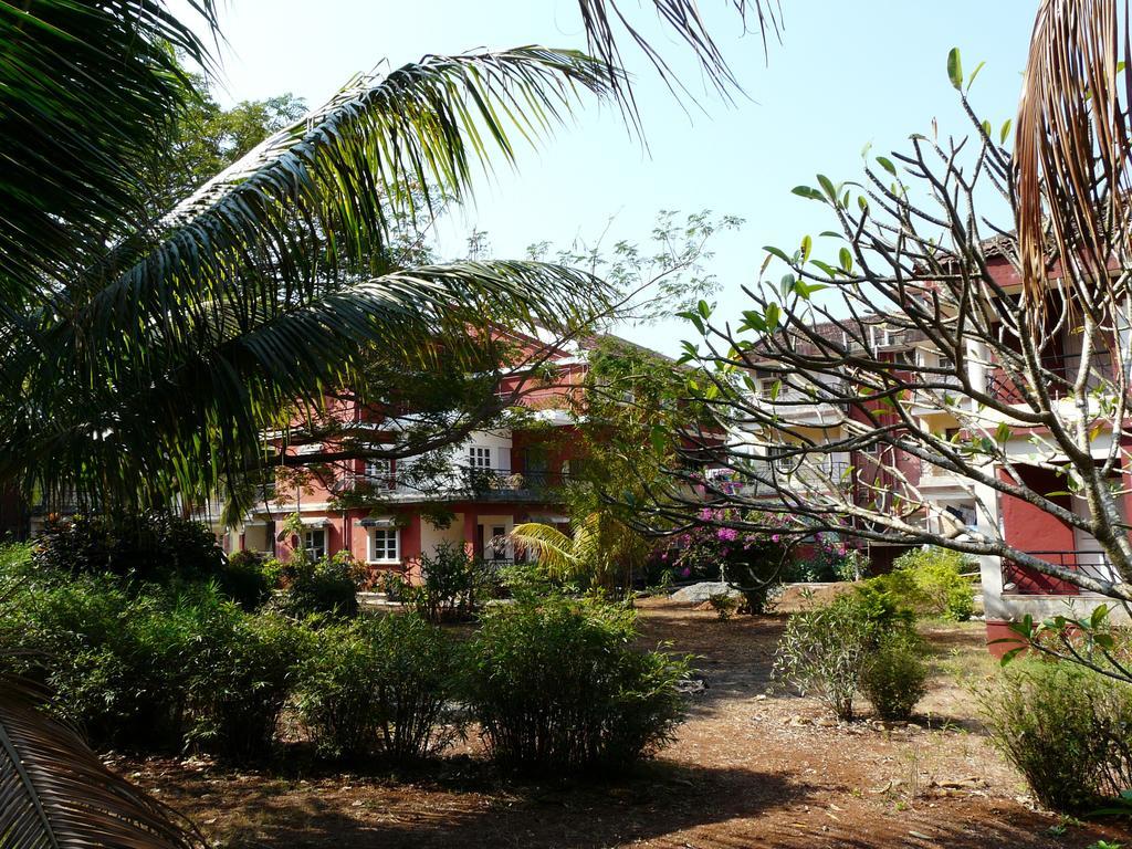 Clarem Apartment Varca